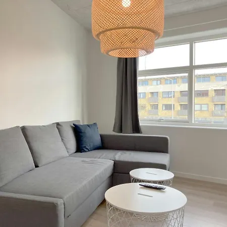 Lägenhet And Spacious For 10 Randers